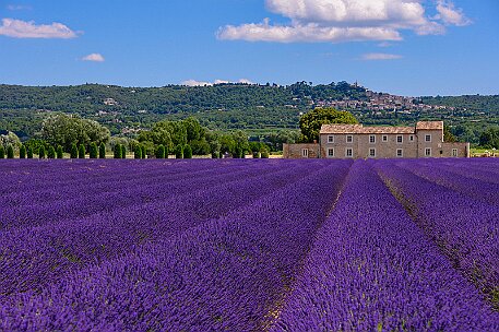 France Provence